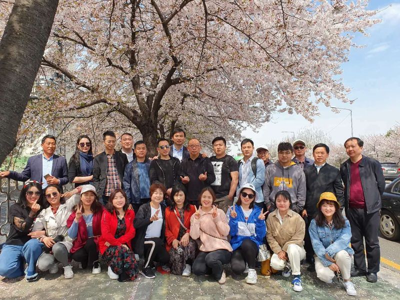 龙鼎集团韩国游——那些年我们追寻的诗与远方