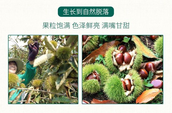 IMG_9087(20210519-100423)