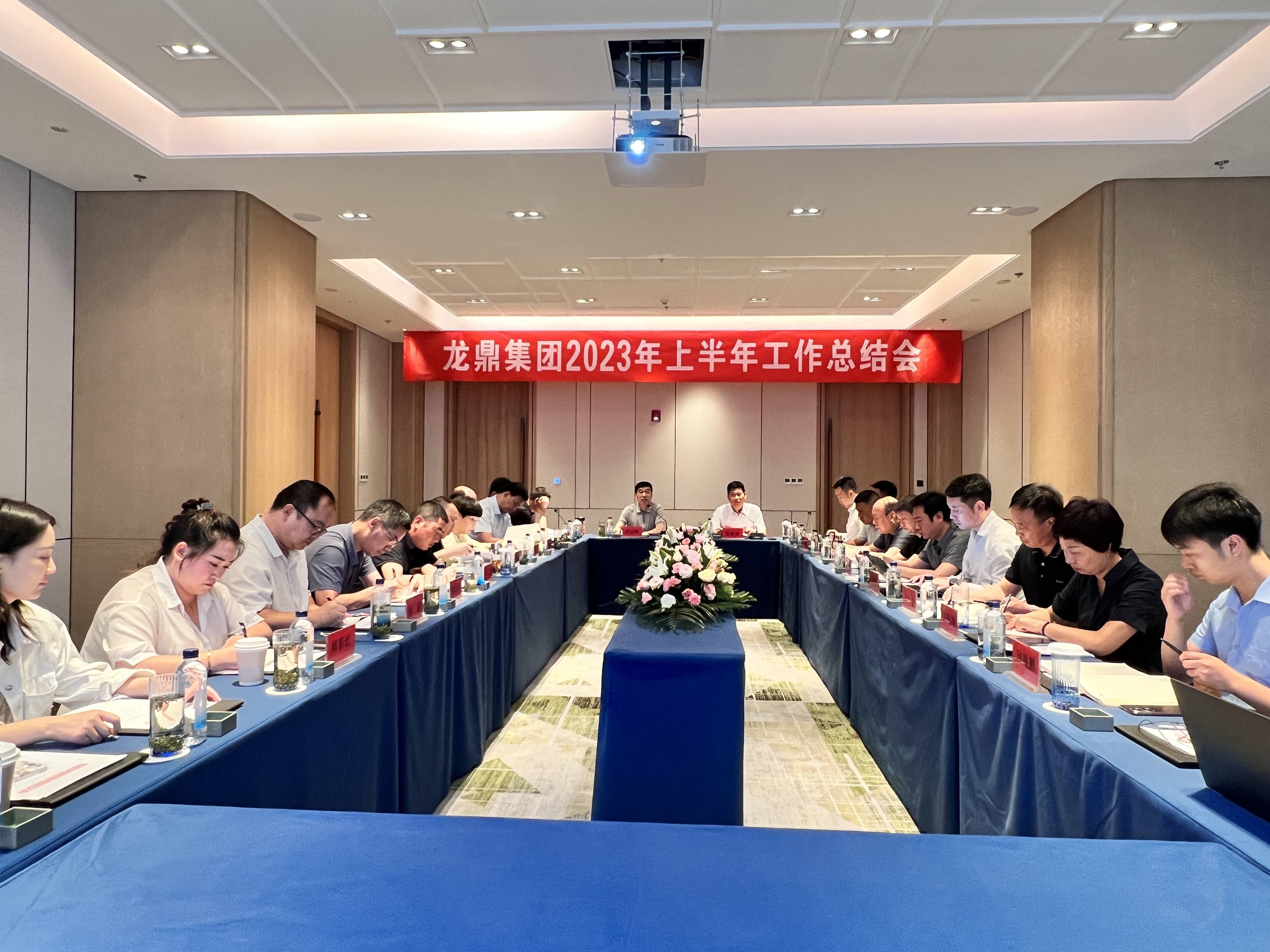 龙鼎控股集团2023年上半年工作总结会圆满召开！