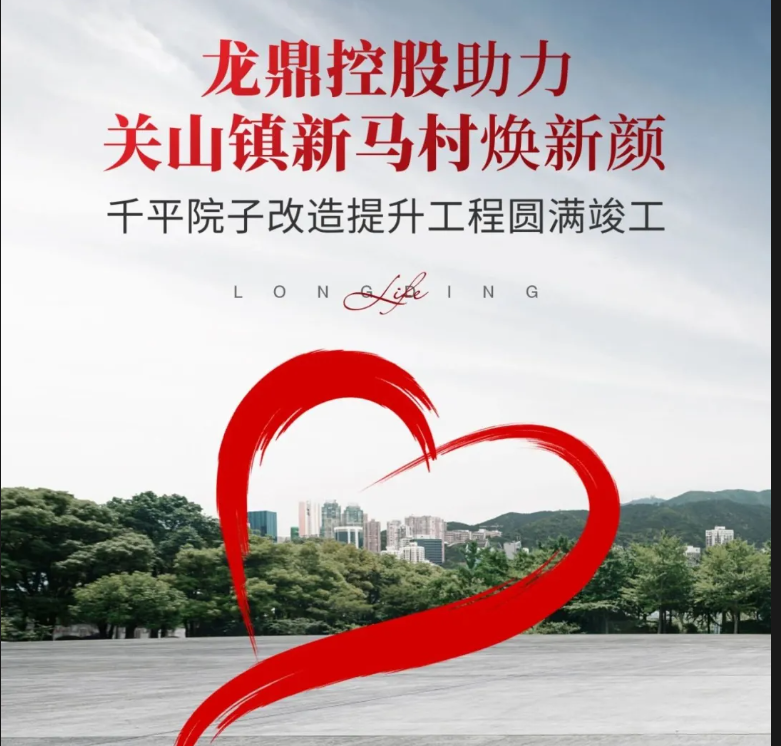 龙鼎控股助力西安市阎良区关山镇新马村焕新颜